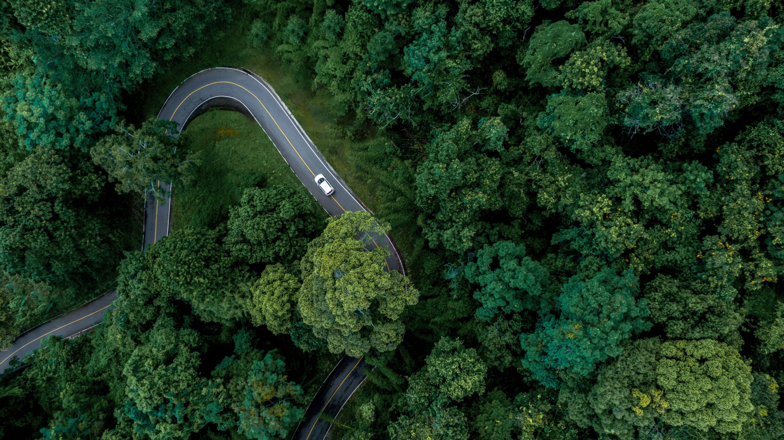 Aerial,Top,View,Road,In,Forest,With,Car,Motion,Blur.